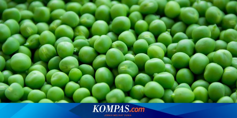 Detail Gambar Kacang Olong Nomer 12