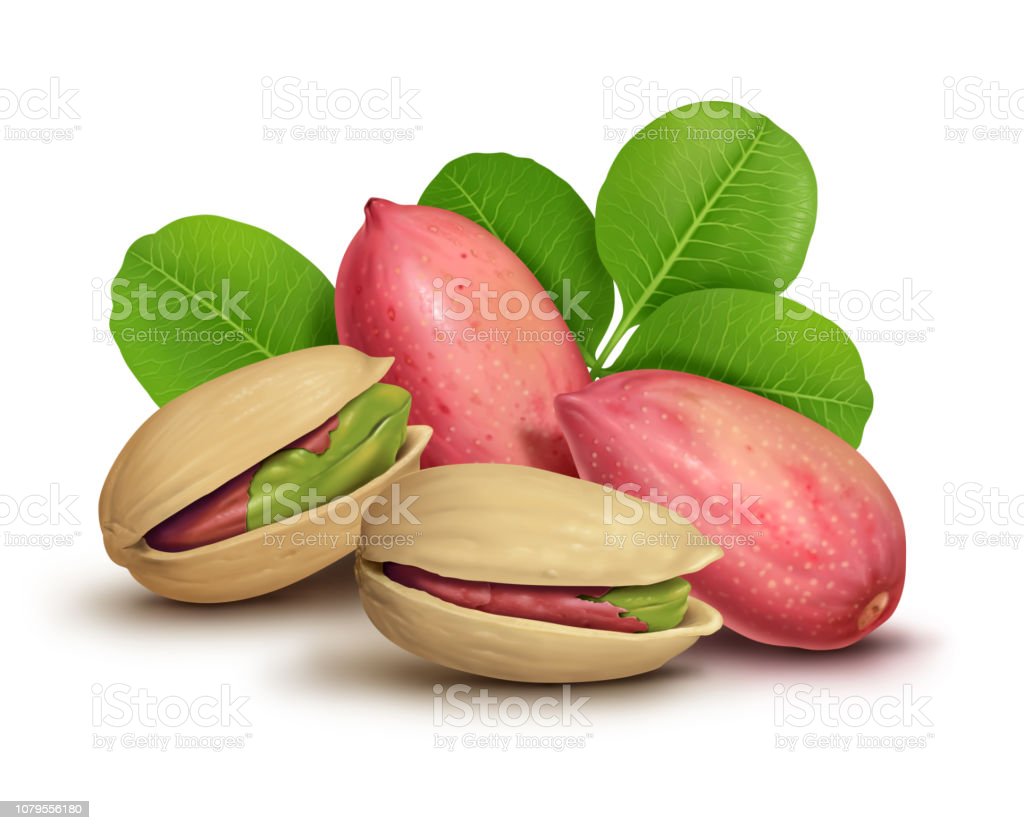 Detail Gambar Kacang Pistachio Nomer 31