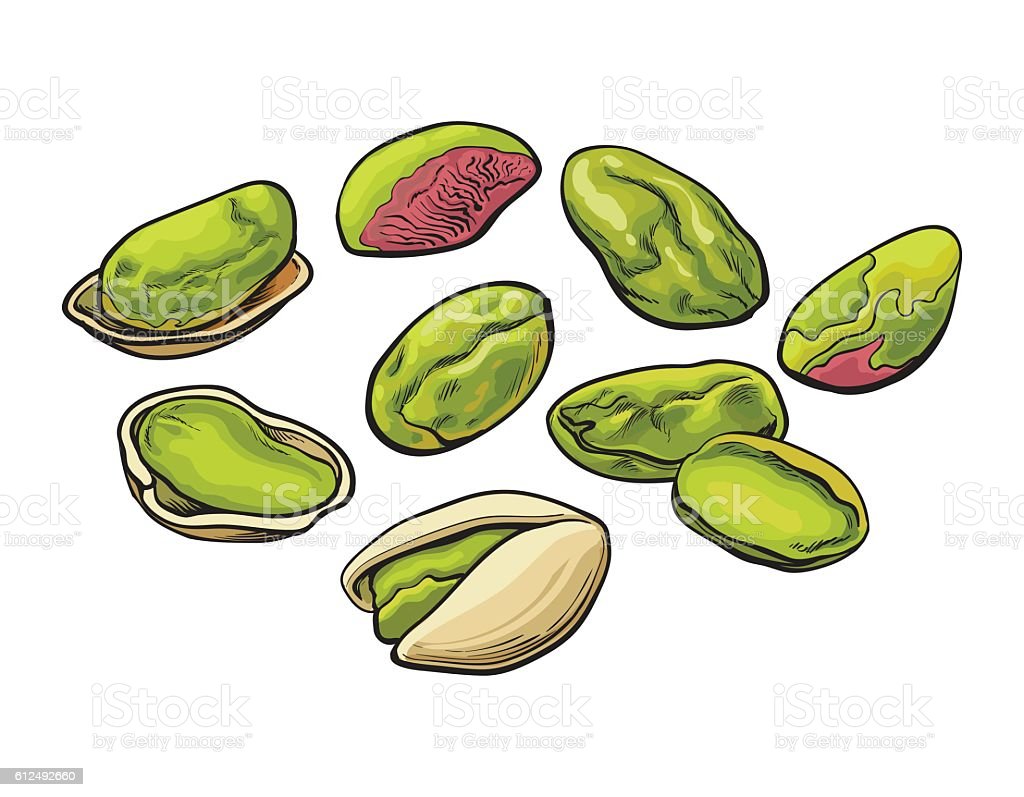 Detail Gambar Kacang Pistachio Nomer 35