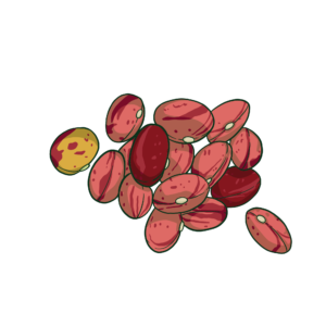 Detail Gambar Kacang Ppt Animasi Bergerak Nomer 18