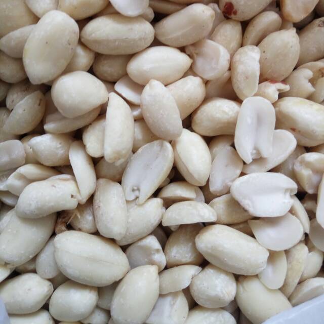 Detail Gambar Kacang Putih Koleksi Nomer 5