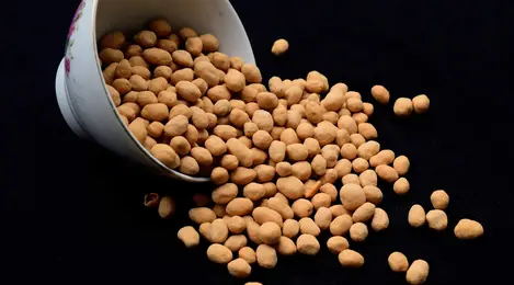 Detail Gambar Kacang Telur Nomer 15