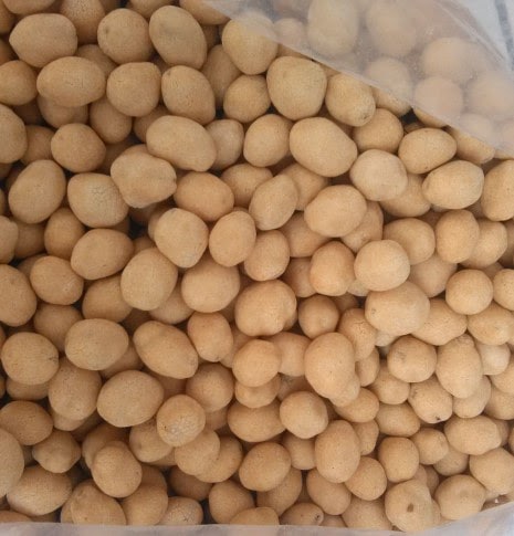 Detail Gambar Kacang Telur Nomer 41