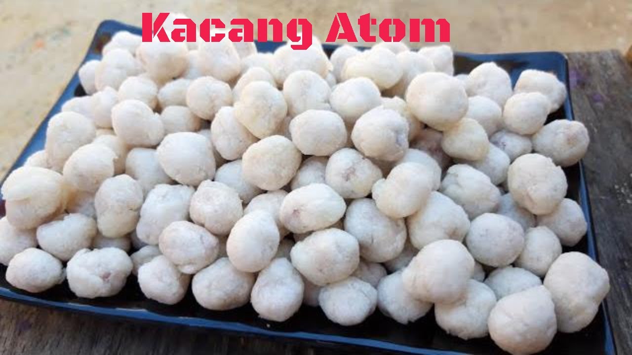 Detail Gambar Kacang Telur Nomer 54