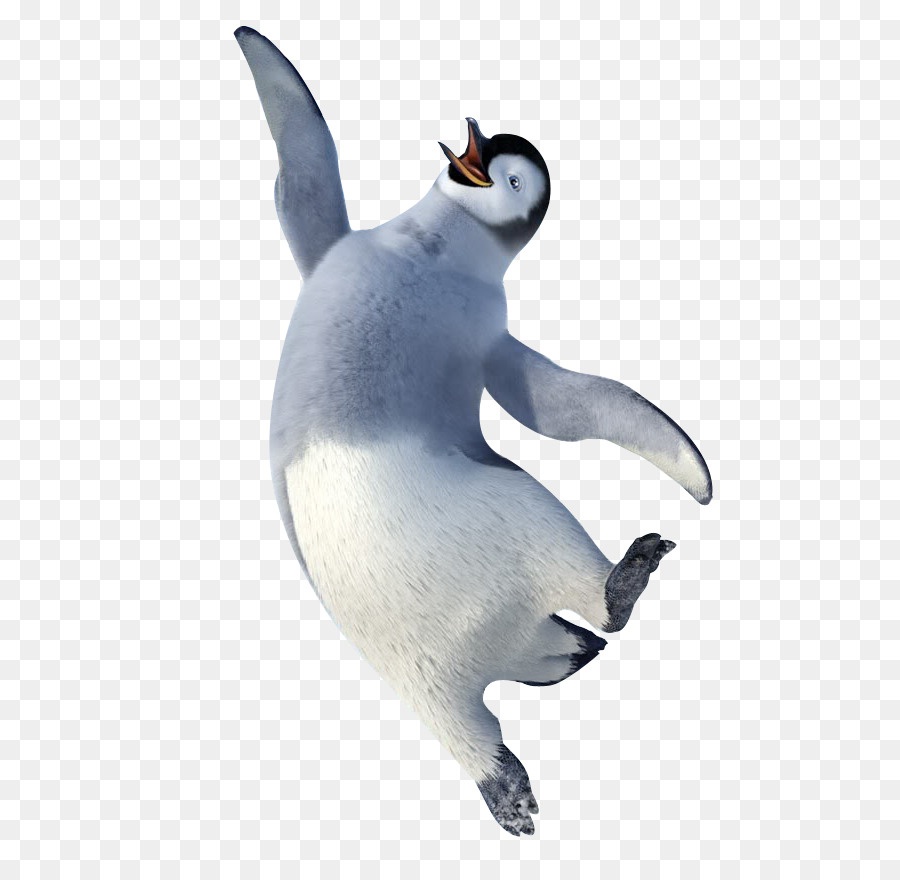 Detail Gambar Kaki Pinguin Nomer 32