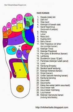 Detail Gambar Kaki Refleksologi Nomer 20