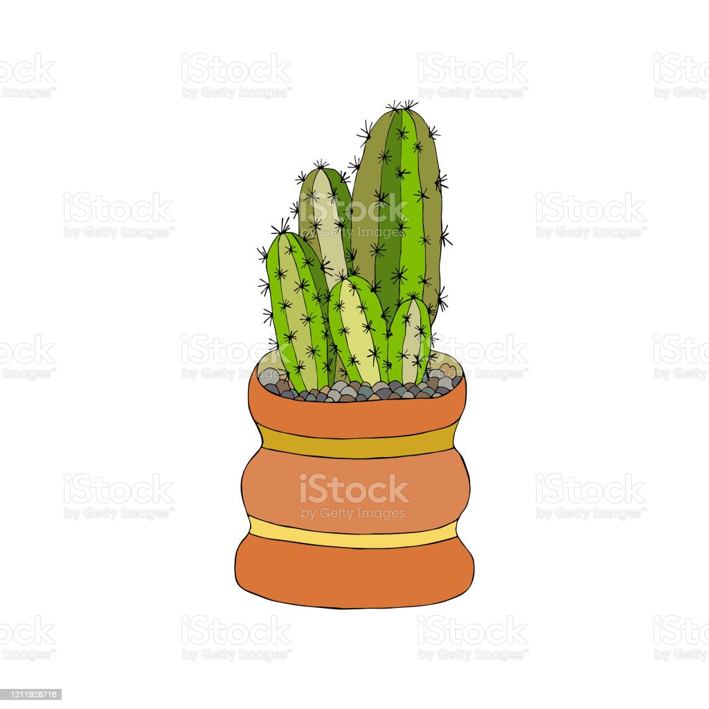 Detail Gambar Kaktus Lucu Nomer 12