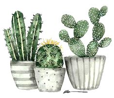 Detail Gambar Kaktus Lukisan Nomer 29