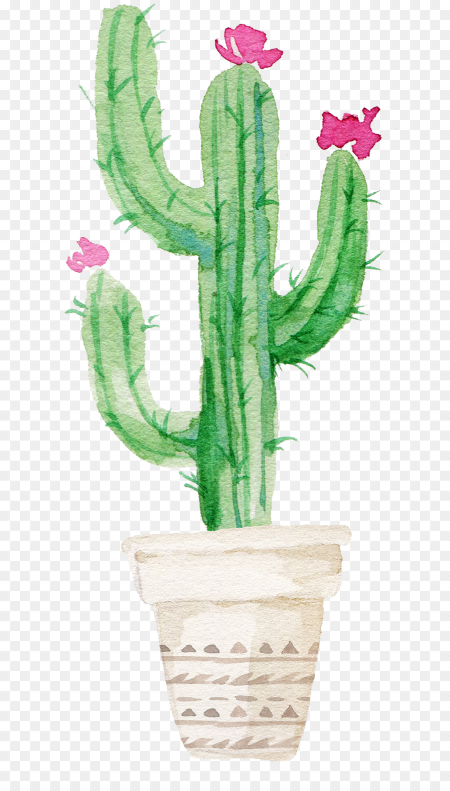 Detail Gambar Kaktus Lukisan Nomer 47