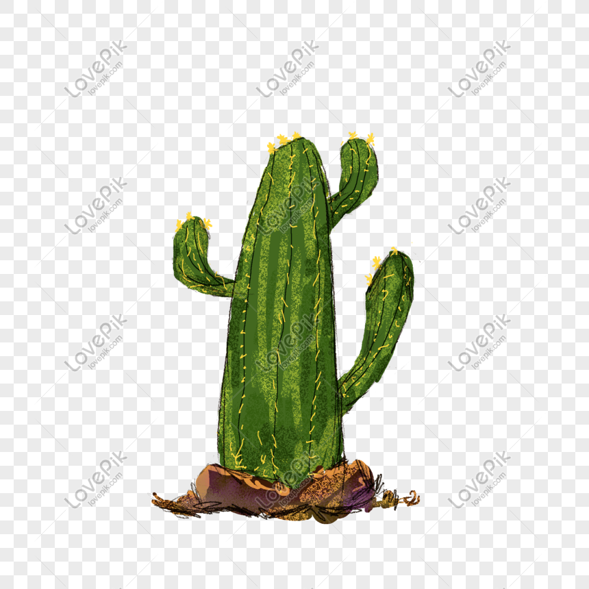 Detail Gambar Kaktus Simple Nomer 54