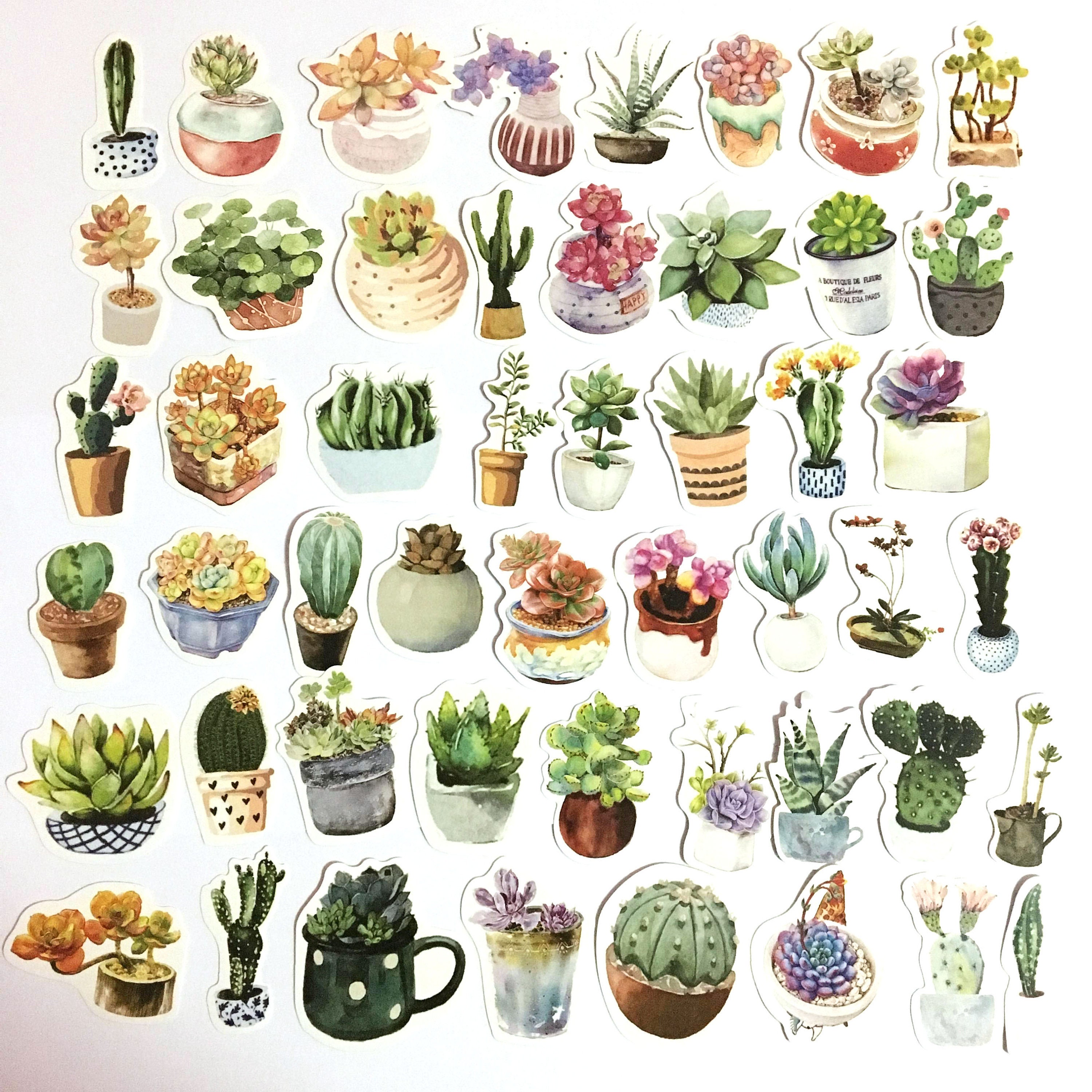 Detail Gambar Kaktus Sticker Nomer 14