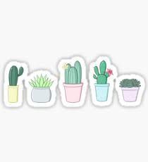 Detail Gambar Kaktus Sticker Nomer 15