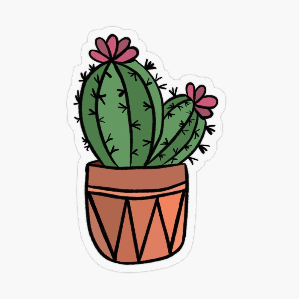 Detail Gambar Kaktus Sticker Nomer 4