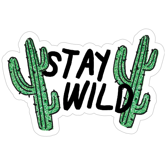 Detail Gambar Kaktus Sticker Nomer 35