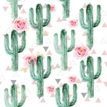 Detail Gambar Kaktus Wallpaper Nomer 37