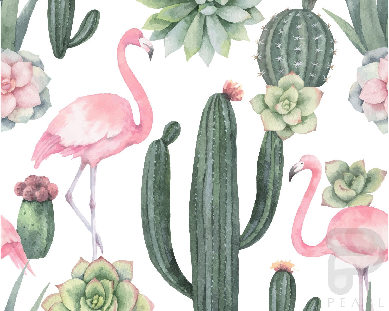 Detail Gambar Kaktus Wallpaper Nomer 44