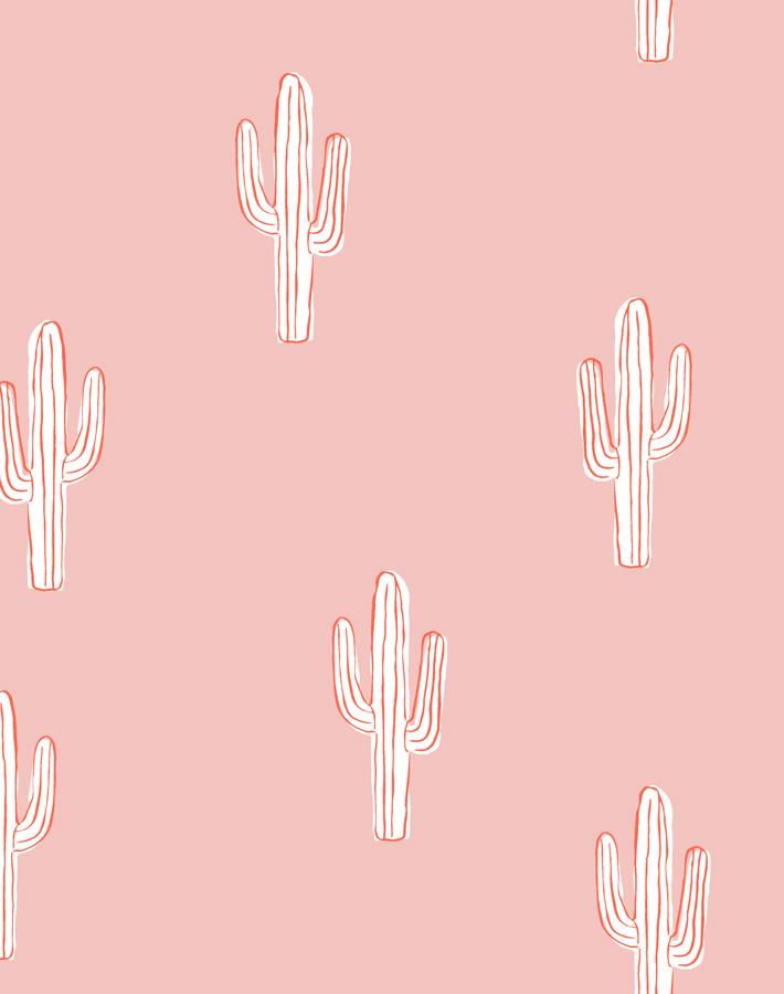 Detail Gambar Kaktus Wallpaper Nomer 54