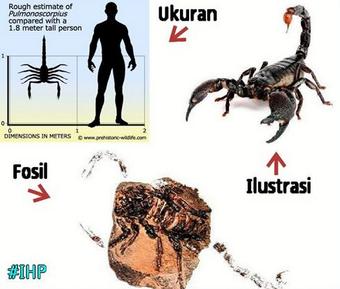 Detail Gambar Kalajengking Raksasa Nomer 33