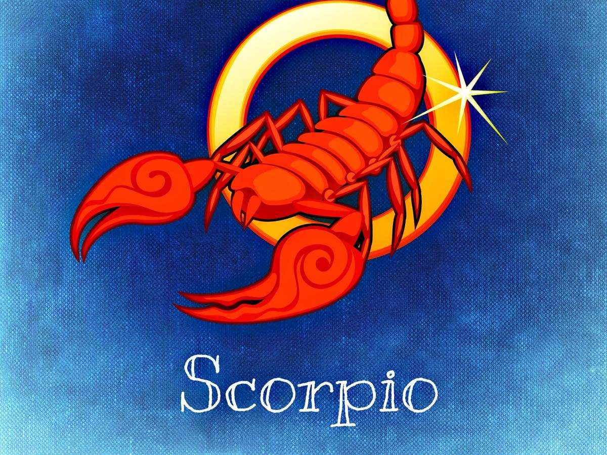 Detail Gambar Kalajengking Scorpio Nomer 3