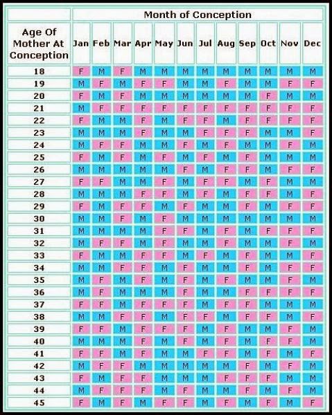 Detail Gambar Kalender Kehamilan Nomer 34