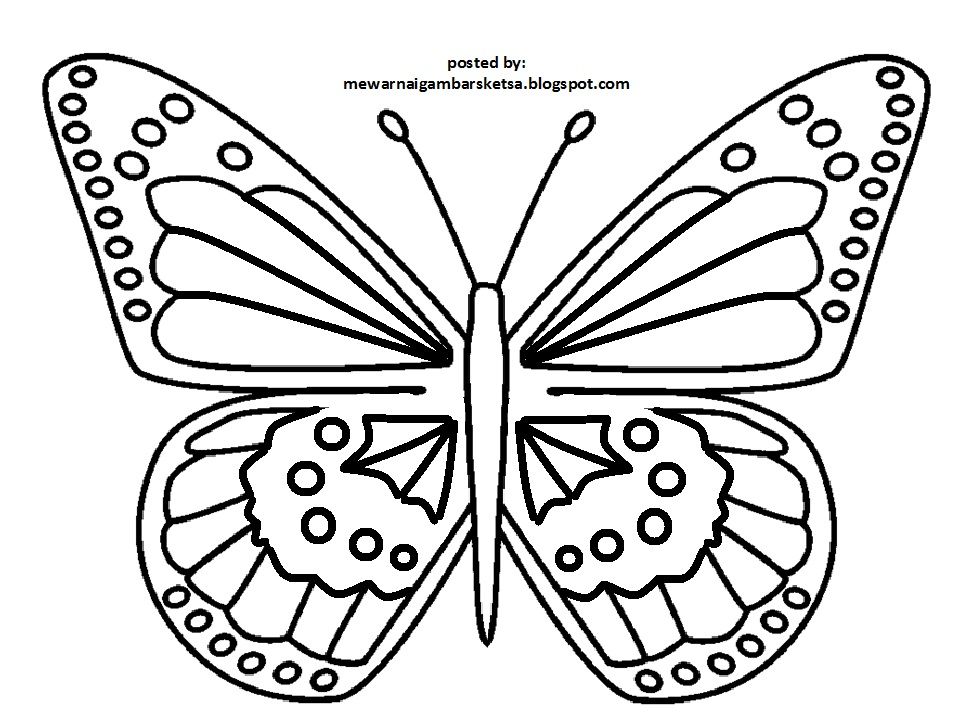 Detail Gambar Kaligrafi Gambar Kupu Kupu Nomer 11