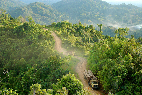 Detail Gambar Kalimantan Timur Nomer 40