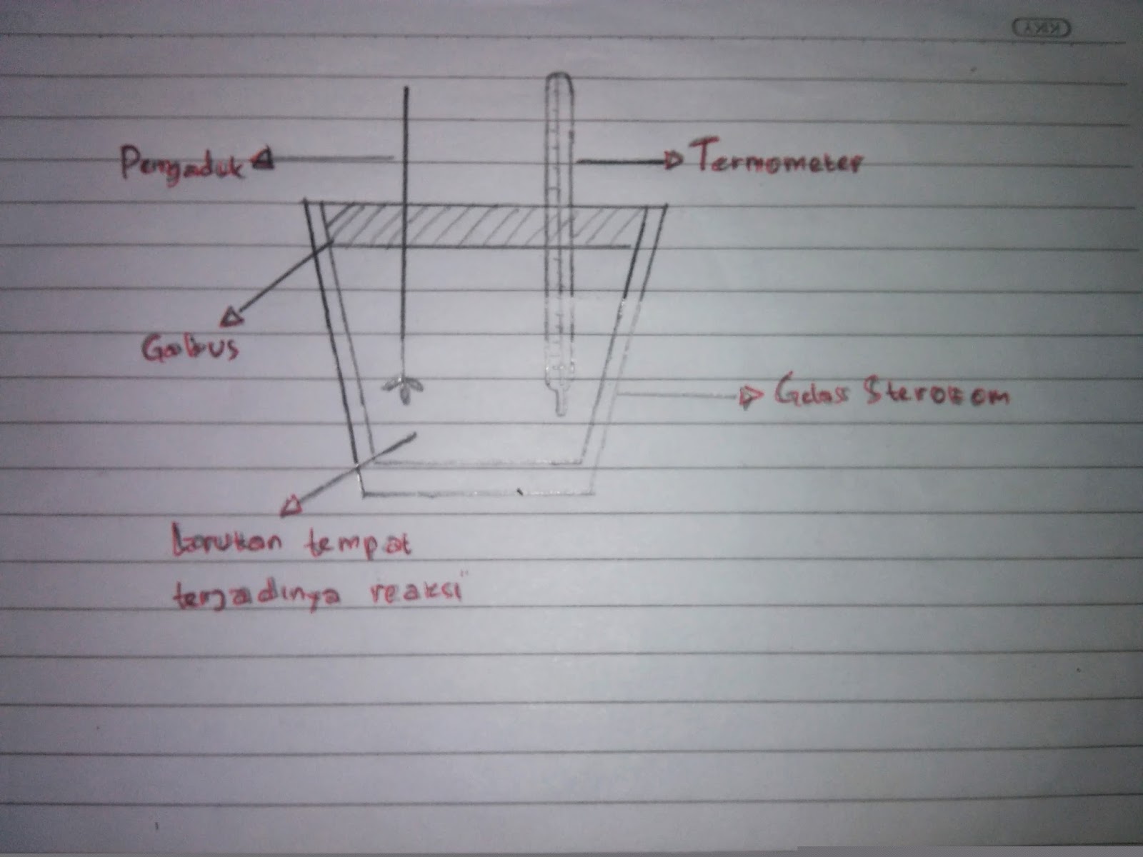 Detail Gambar Kalorimeter Sederhana Nomer 31