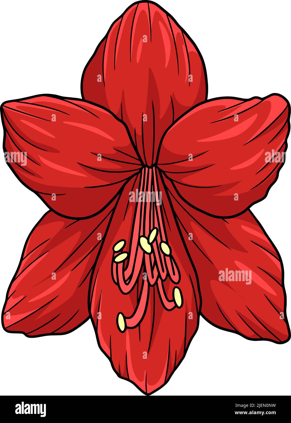 Detail Amaryllis Aquarell Nomer 22