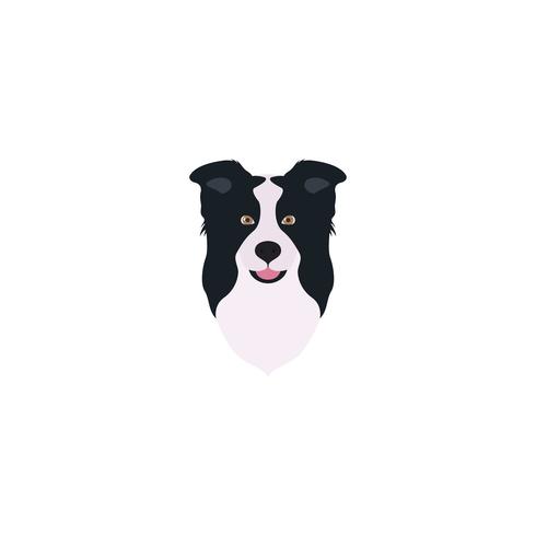 Detail Border Collie Bilder Nomer 18