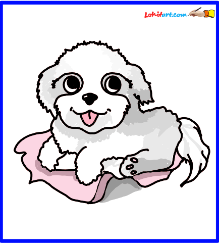 Detail Cavapoo Or Maltipoo Nomer 17