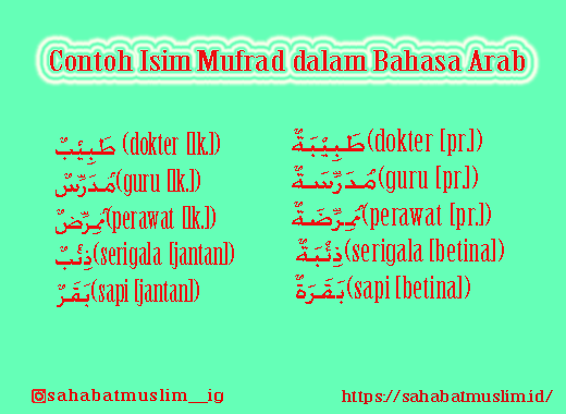 Detail Contoh Kata Benda Mufrad Mutsanna Dan Jamak Nomer 9