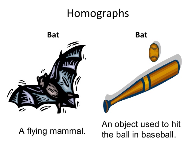 Detail Contoh Kata Homograf Nomer 55