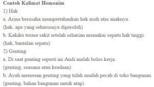 Contoh Kata Homonim - KibrisPDR