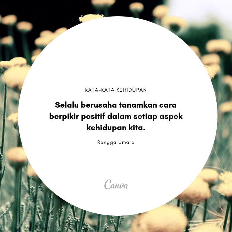 Detail Contoh Kata Kata Quotes Nomer 17