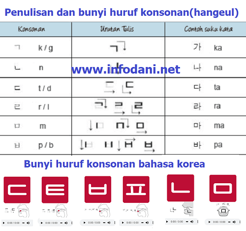 Detail Contoh Kata Konsonan Nomer 32