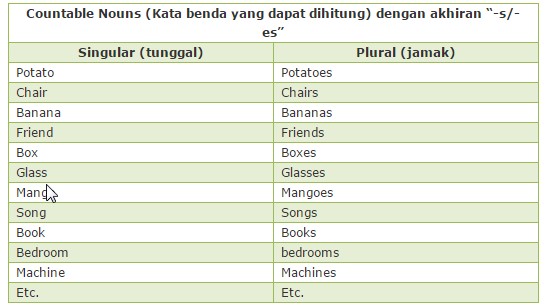 Detail Contoh Kata Singular Dan Plural Nomer 2