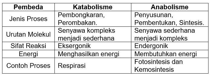 Detail Contoh Katabolisme Dan Anabolisme Nomer 13