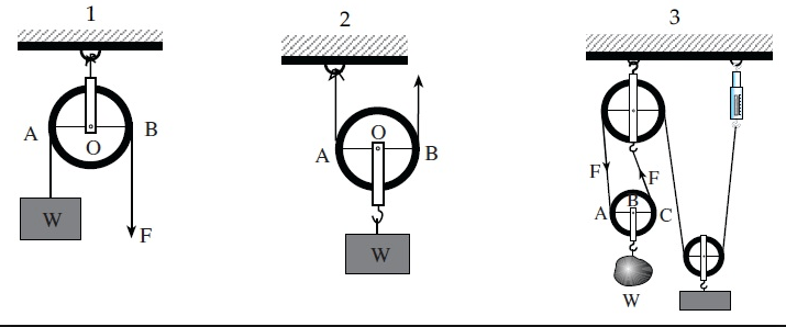 Detail Contoh Katrol Bebas Nomer 6