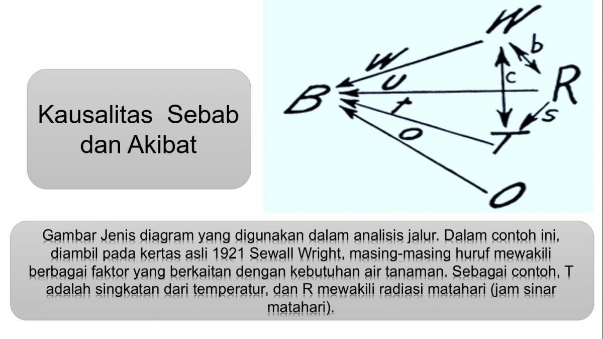 Detail Contoh Kausalitas Dalam Sejarah Nomer 8