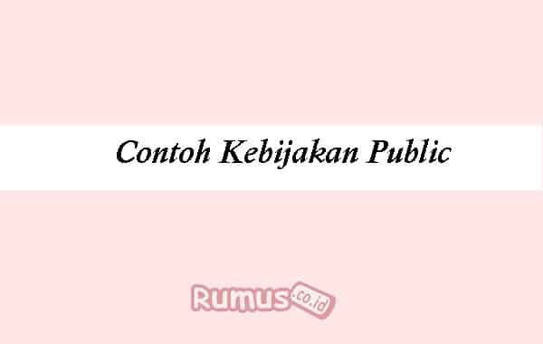 Detail Contoh Kebijakan Publik Nomer 31