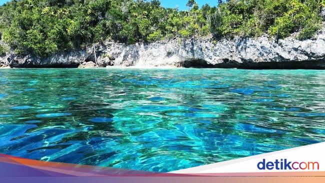 Detail Contoh Kekayaan Alam Indonesia Nomer 34