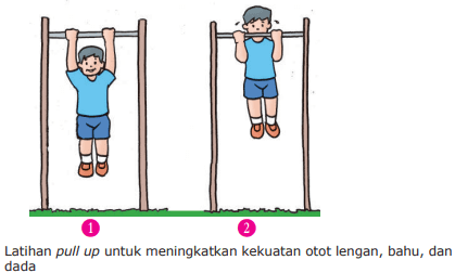 Detail Contoh Kekuatan Otot Nomer 43