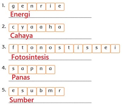 Detail Contoh Kelas Kata Nomer 56