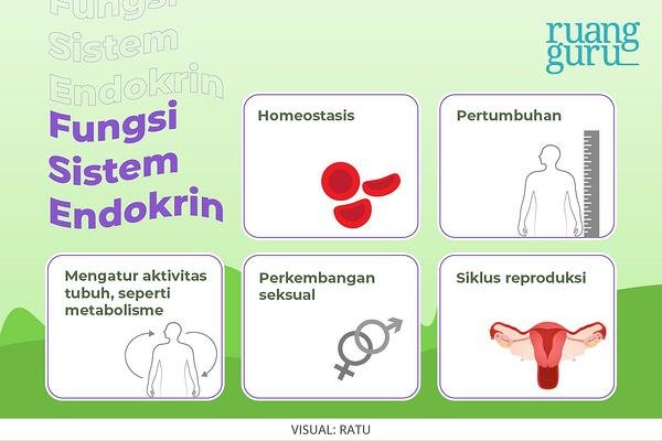 Detail Contoh Kelenjar Endokrin Nomer 14