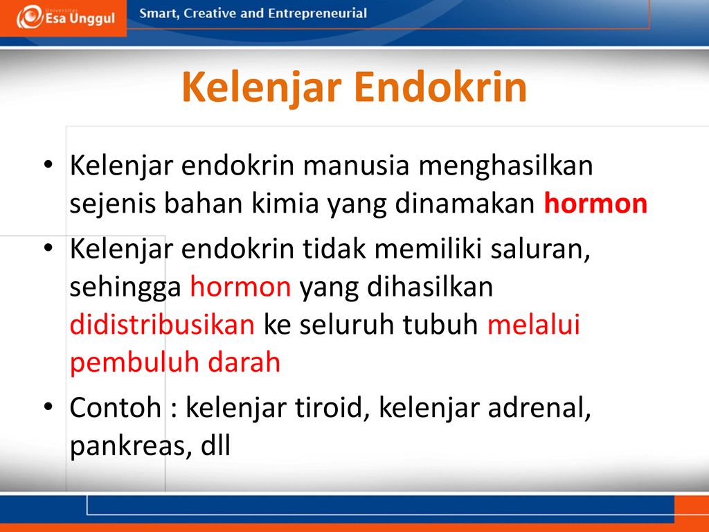 Detail Contoh Kelenjar Endokrin Nomer 50