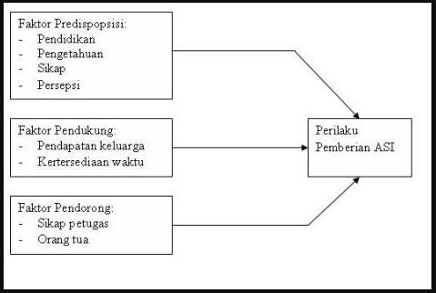 Detail Contoh Kerangka Konsep Penelitian Deskriptif Nomer 2