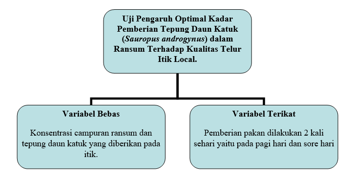 Detail Contoh Kerangka Konsep Penelitian Deskriptif Nomer 11