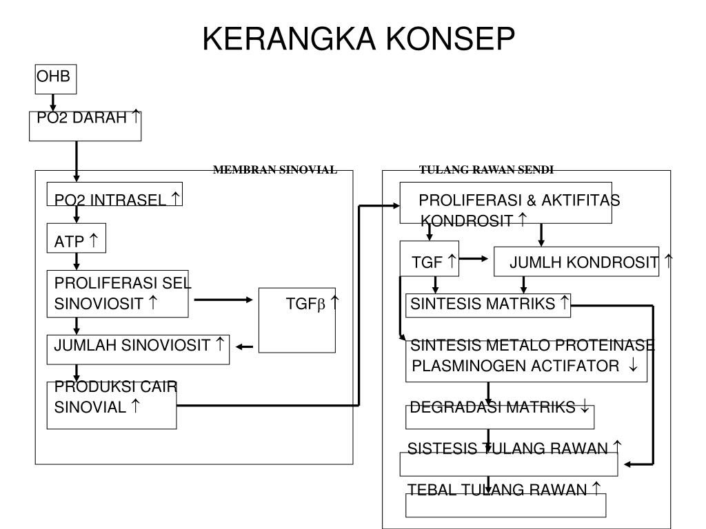 Detail Contoh Kerangka Konsep Penelitian Deskriptif Nomer 27