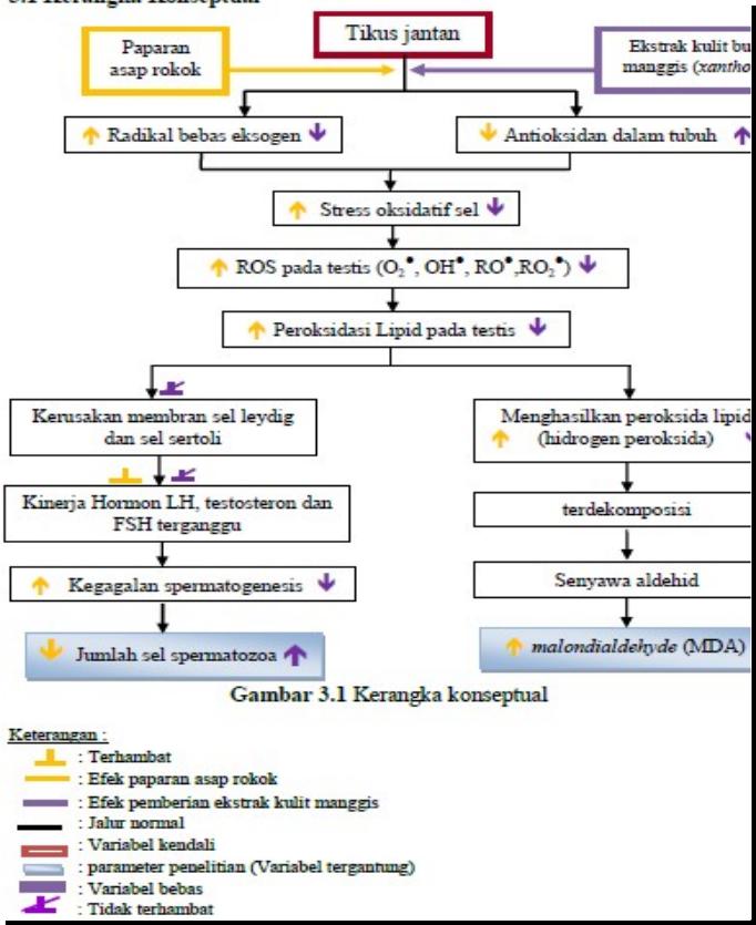 Detail Contoh Kerangka Konsep Penelitian Deskriptif Nomer 40