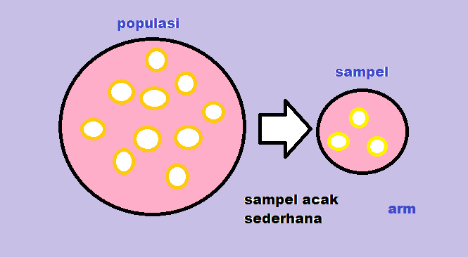 Detail Contoh Kerangka Sampling Nomer 44